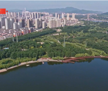 习近平辽宁行丨城在林中 人在画中——走进锦州东湖森林公园