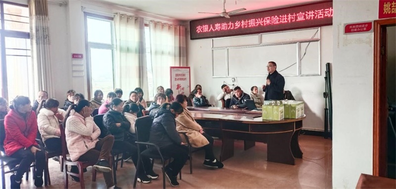 农银人寿邵阳中心支公司开展助力乡村振兴保险进乡村宣传活动
