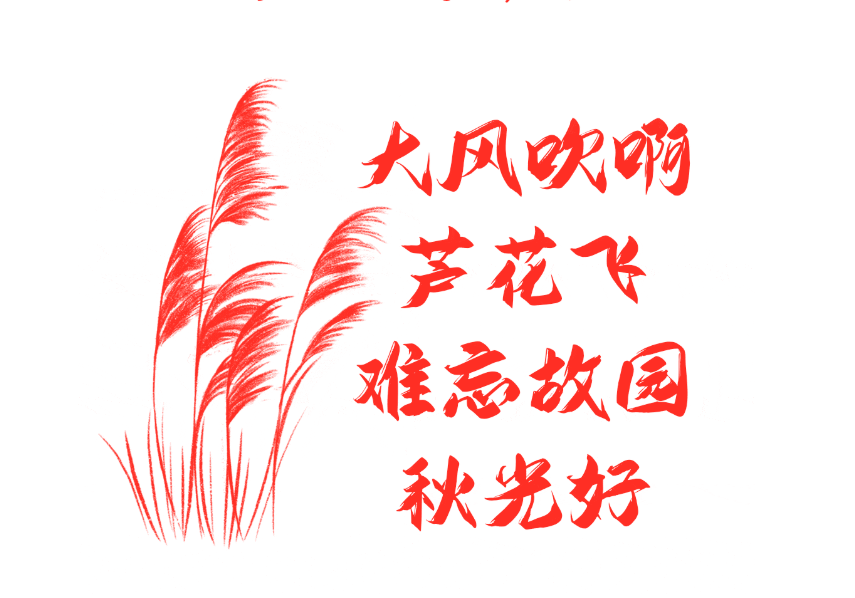 秋到中国，秋到张家界，一格一格火起来！