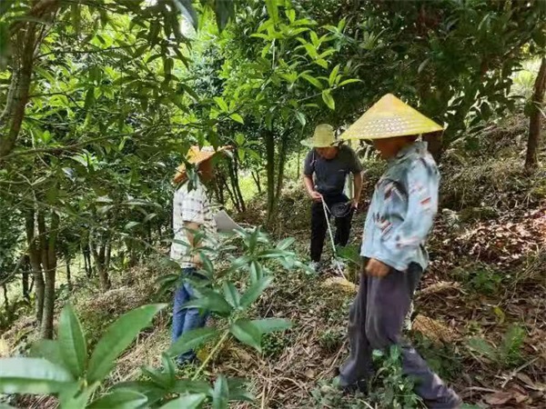 湖南家富三禾公司：产业发展助推乡村振兴再上新台阶