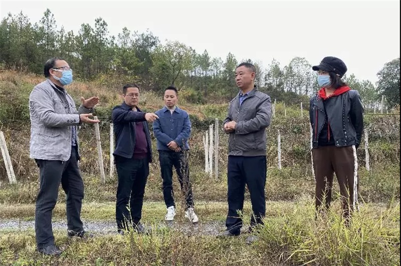 邵阳市农科院：抓紧农时保生产 复工复产搞经营